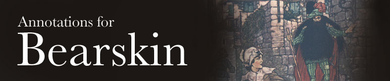 Annotations for Bearskin