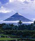 Mt Mayon, One Of The Most Dangerous Volcanoes In The World, Above Rice Paddys., Albay, Philippines