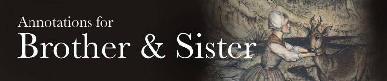 Annotations for Brother and Sister