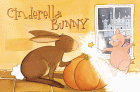 Cinderella Bunny by Jan Lewis