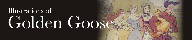 Illustrations of Golden Goose