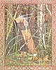 Bilibin's Baba Yaga 5