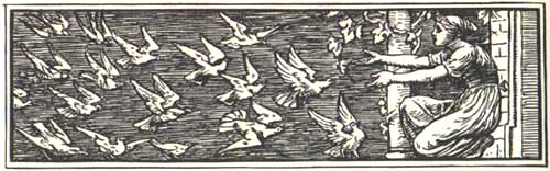 Cinderella Crane Image 1