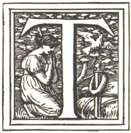 Cinderella Crane Image 2
