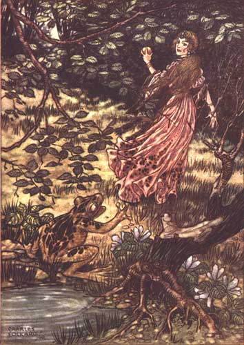 Folkard's Frog Prince