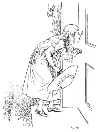 Brooke's Goldilocks 6