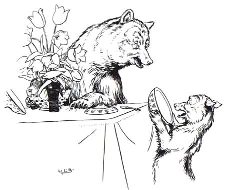 Brooke's Goldilocks 9