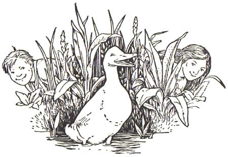 Batten's Johnnie and Grizzle