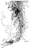 A. H. Watson Jack and the Beanstalk 2