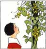 Margaret Evans Price Jack and the Beanstalk 2