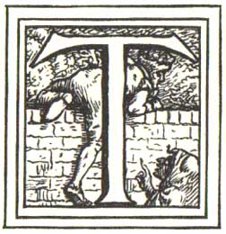 Rapunzel Crane Image 2