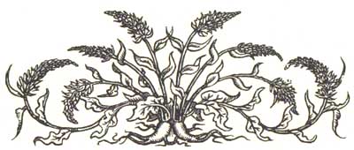 Rapunzel Crane Image 4