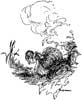 A. H. Watson's Little Red Riding Hood Image  1