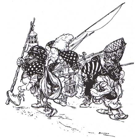 Rackham's Snowdrop