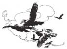 Rackham's Seven Ravens 4