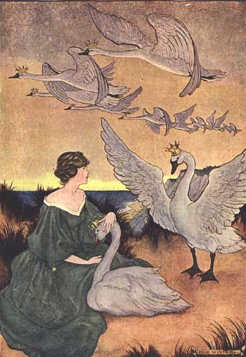 Winter's Wild Swans