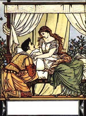 Sleeping Beauty Crane Image 10