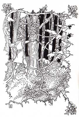 Sleeping Beauty Crane Image 12