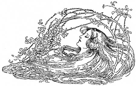 Sowerby's Sleeping Beauty