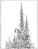 W. H. Robinson Snow Queen 4