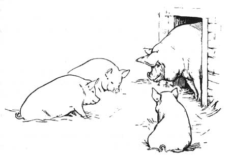 Batten's Three Little Pigs