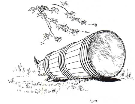 Brooke's Three Little Pigs