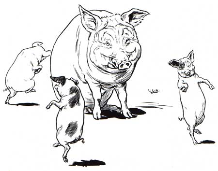 Brooke's Three Little Pigs