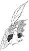 Charles Robinson's Thumbelina 6