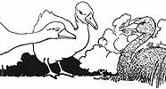 Charles Robinson's Ugly Duckling 5