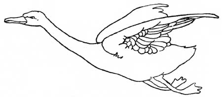 Charles Robinson's Ugly Duckling