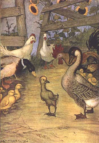 Milo Winter Ugly Duckling