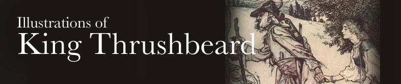 Illustrations of King Thrushbeard