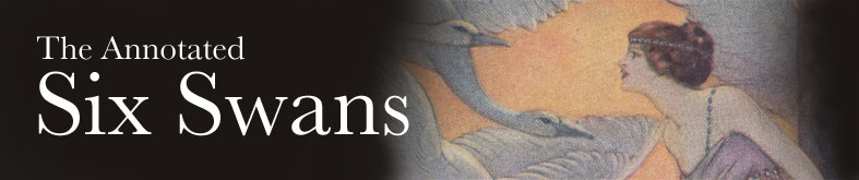 The Annotated Six Swans