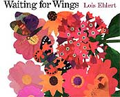 Waiting for Wings by Lois Ehlert