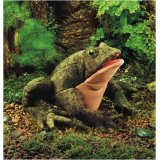 Folkmanis Toad Hand Puppet
