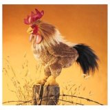 Folkmanis Rooster Hand Puppet