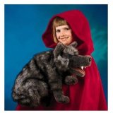 Folkmanis Wolf Hand Puppet