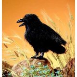 Folkmanis Raven Hand Puppet