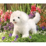 Folkmanis Bichon Frise Dog Hand Puppet
