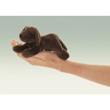 Folkmanis Chocolate Lab Finger Puppet