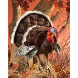 Folkmanis Turkey Hand Puppet