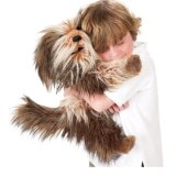 Folkmanis Shaggy Dog Hand Puppet
