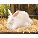 Folkmanis Angora Rabbit Hand Puppet